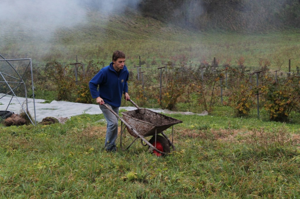 Devis Bonanni, autore di Pecora nera, ha lasciato il posto fisso per andare a  coltivare un pezzo di terra