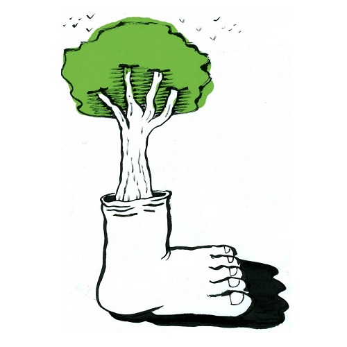 "Un albero nel cuore" per riportare la biodiversità in Sicilia