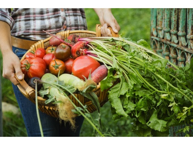 Bioregionalismo Treia •: Dalla PAC all'agricoltura bioregionale