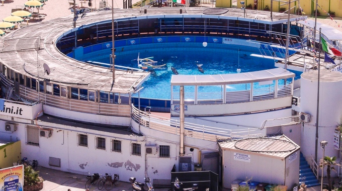 Una fotografia per dire "no" al delfinario di Rimini