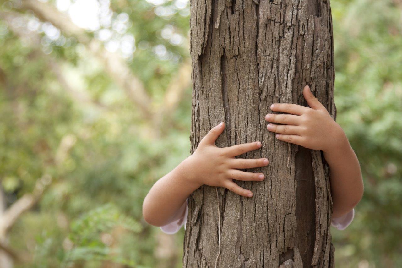 young-child-hugging-a-tree-in-the-forest-example-of-vertical-leading-lines-in-photography
