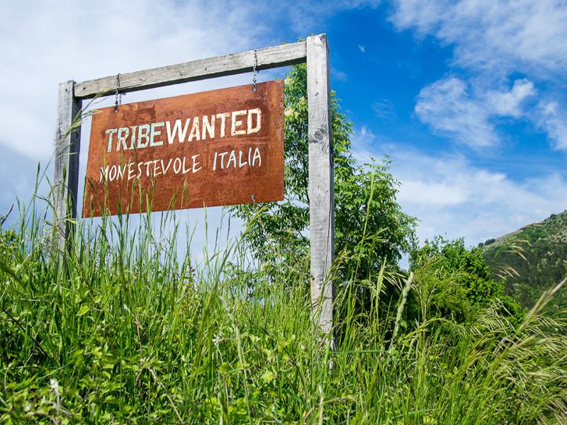 La cooperativa Tribewanted sviluppa comunità ecosostenibili in giro per il mondo