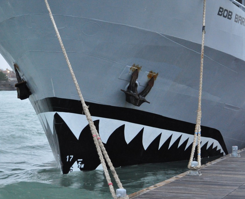 La nave M/V Bob Barker della flotta Sea Shepherd Global, protagonista della lotta in difesa delle balene