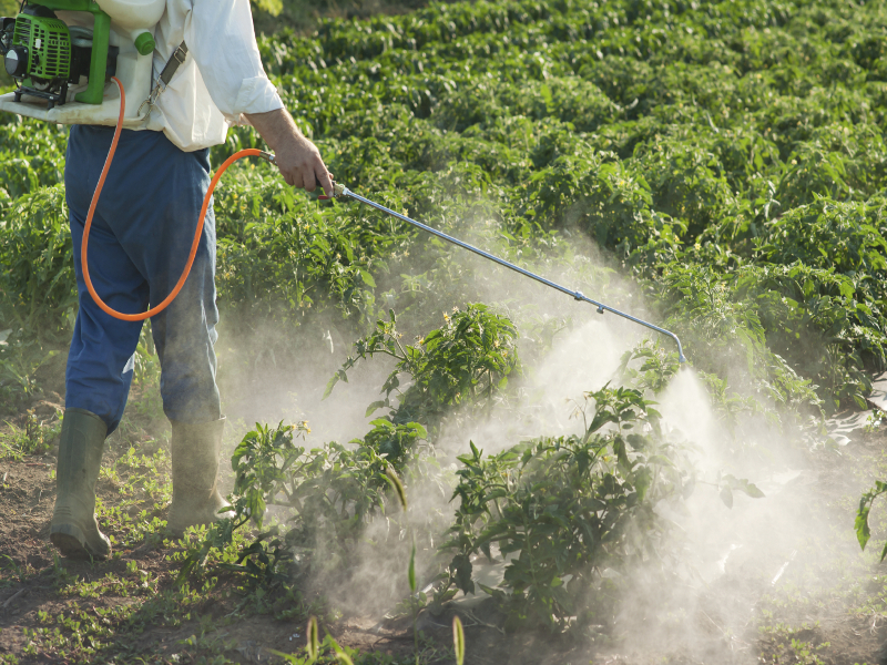 Pesticidi: sospeso il rinnovo del glifosato