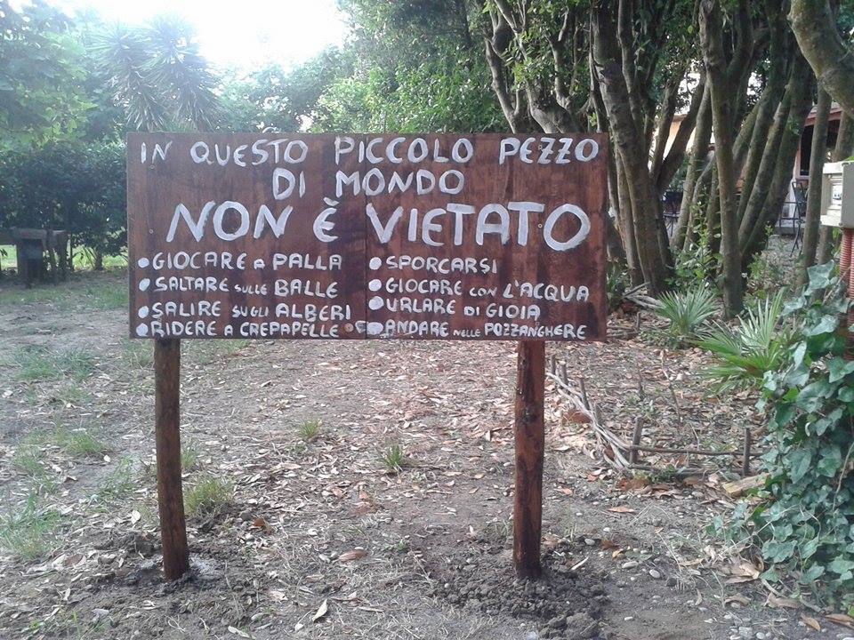 asilo nel bosco