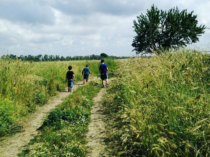 Elementari nel Bosco: dall'asilo alla scuola primaria