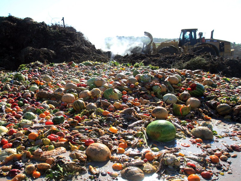 Alla radice dello spreco alimentare