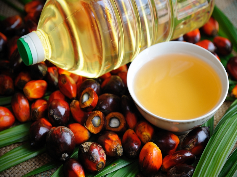 Olio di palma: facciamo un po' di chiarezza