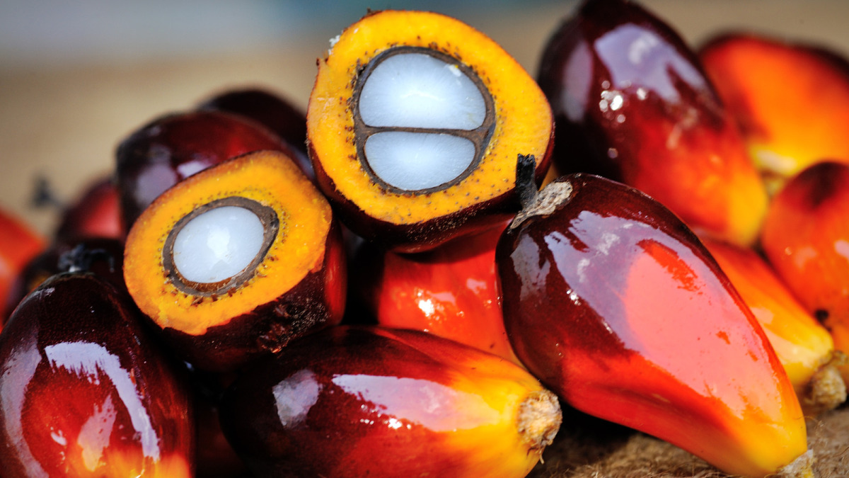 palm-oil-fruit