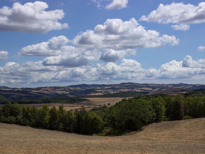 Summer-Italy-Agriculture-Landscape-Tuscany-Nature-2019215