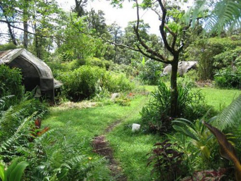permaculture-500x375