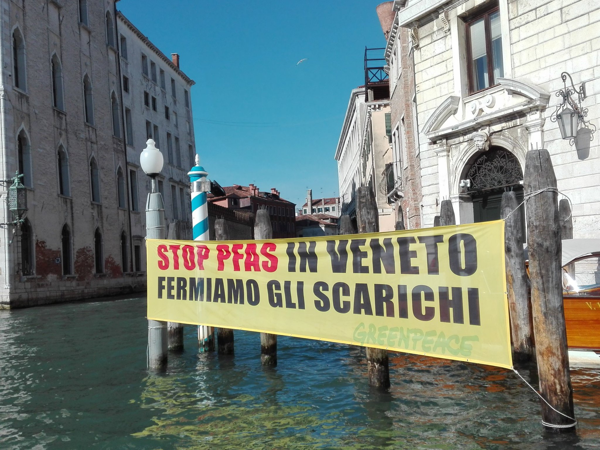 Foto Greenpeace Italia
