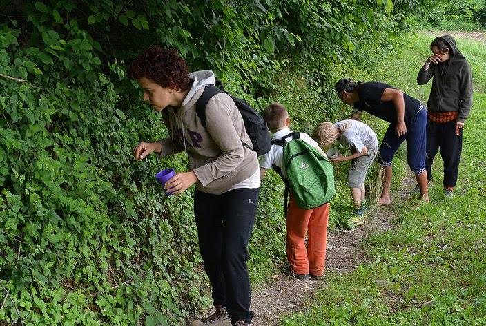 Università nel bosco: opportunità di studio e lavoro nella natura