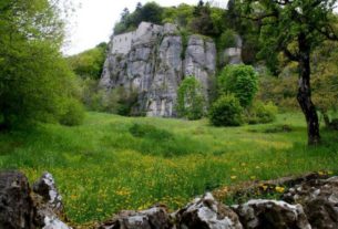 Accordo tra il Parco e i Frati minori della Verna