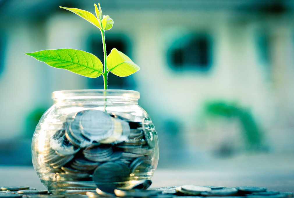 New-beginning-green-plant-bank-money