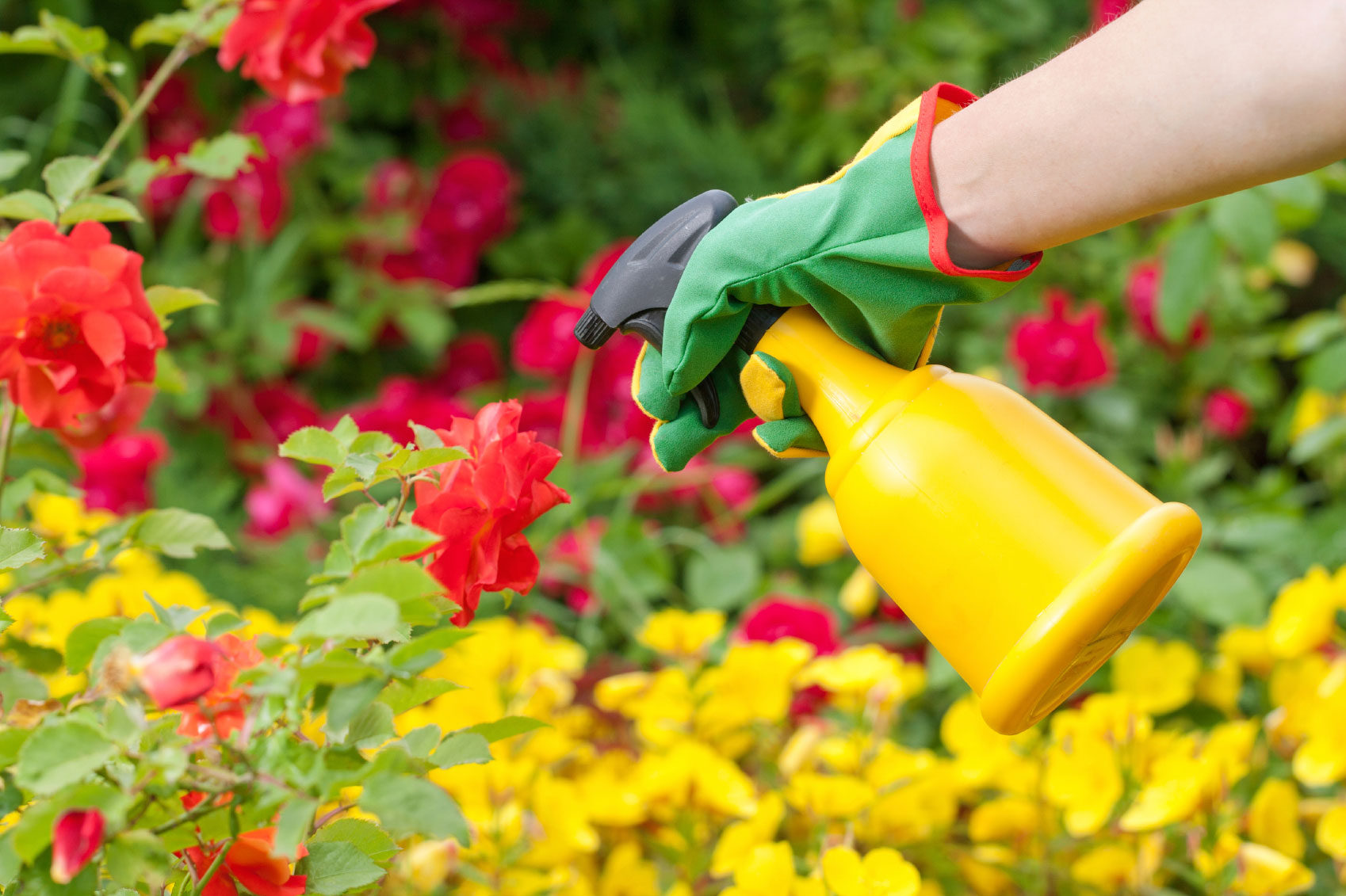 Anche chi vive nelle aree urbane è esposto a miscele di pesticidi potenzialmente cancerogeni e molto pericolosi per la salute
