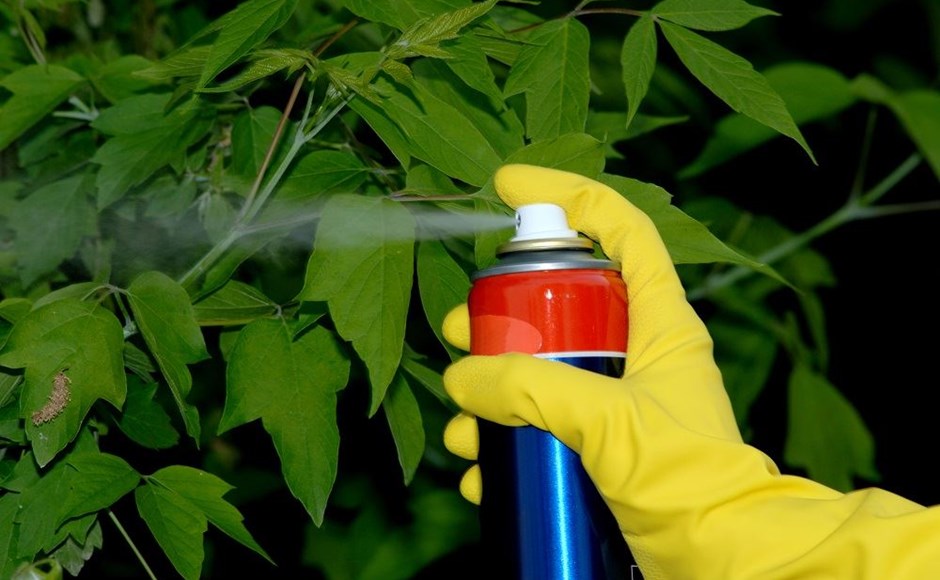 Anche Bolzano aderisce alla Rete europea delle Città Libere dai Pesticidi
