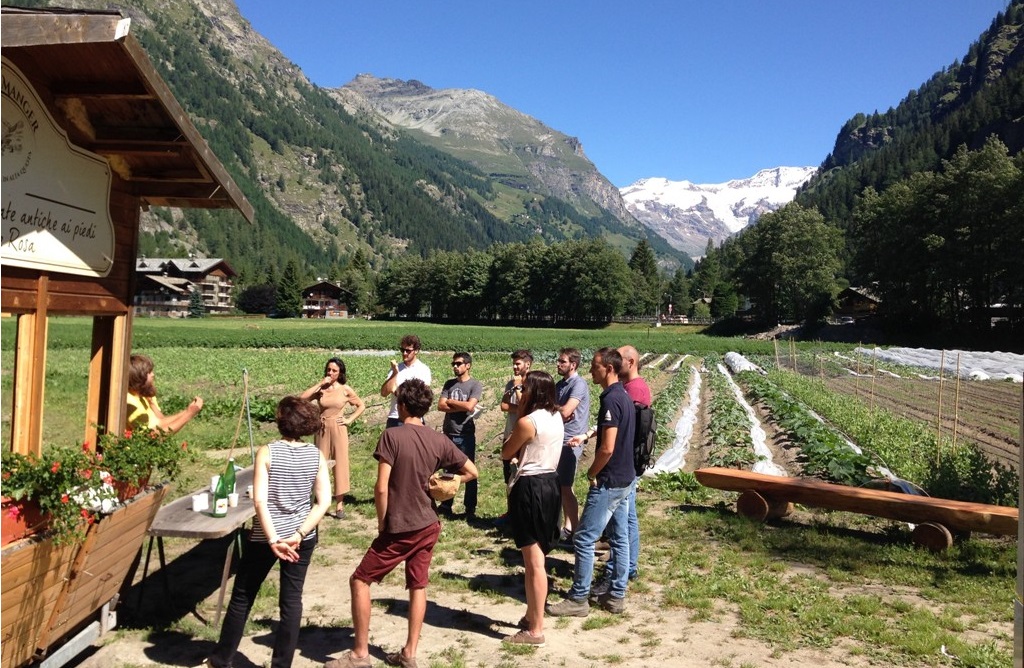ReStartAlp, un bando per aiutare chi vuole tornare in montagna