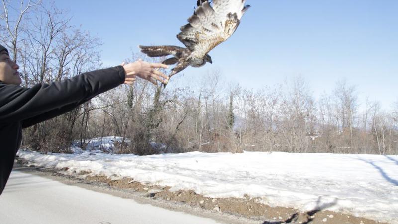 Luciano Remigio e il Centro Recupero Animali Selvatici di Bernezzo
