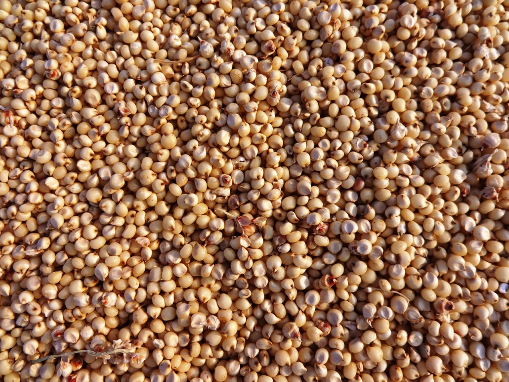 Ricette #13 – Sorgo con pomodorini e ceci