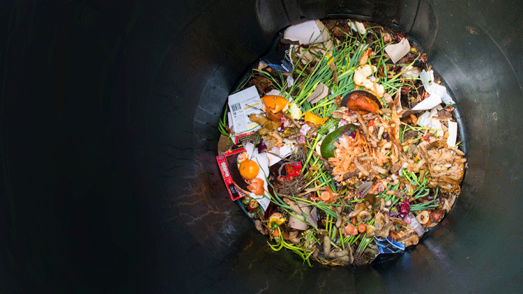 Food-waste-in-restaurants_wrbm_large
