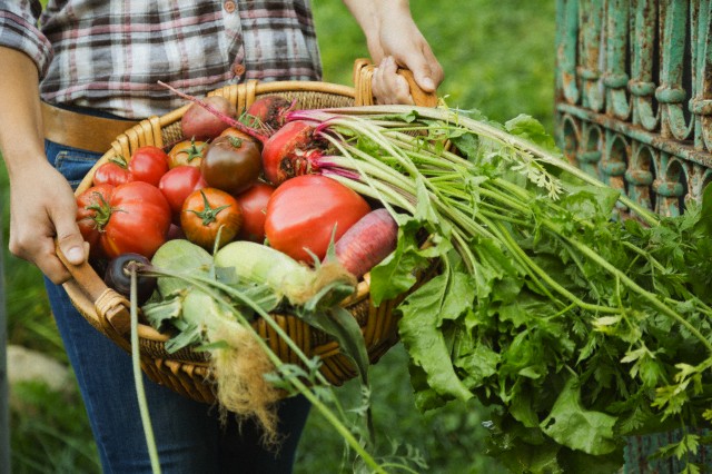 Woman carrying freshly harvested vegetables in basket