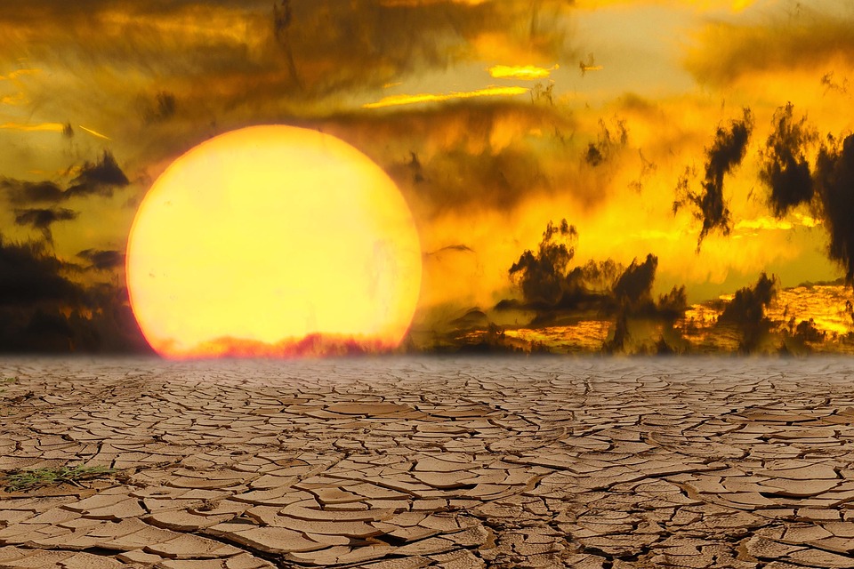 Crisi politica e crisi climatica: proposte per un’azione immediata