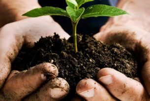 Corso base di agricoltura omeodinamica con Enzo Nastati