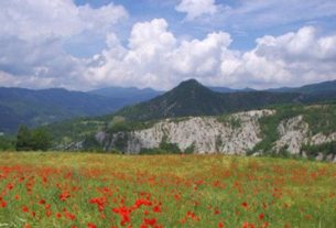 Ecomuseo del Casentino: tutti gli eventi di primavera