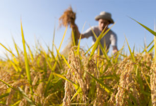 Fare impresa in agricoltura: il Focus tematico a Bibbiena