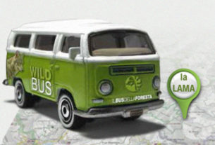 Wild Bus: il bus della foresta