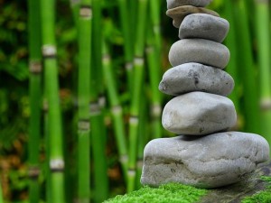zen 2040340 12801 300x225 1