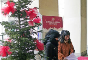 A Torino gli alberi di Natale verranno ripiantati per rinverdire i giardini della città