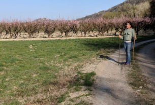 Anna Iorio: una cantautrice in viaggio verso se stessa e l’arteducazione