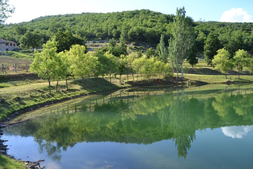 Fattoria Cuore Verde