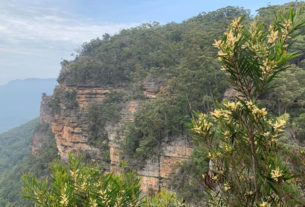 “L’Australia del mio cuore è cambiata per sempre”