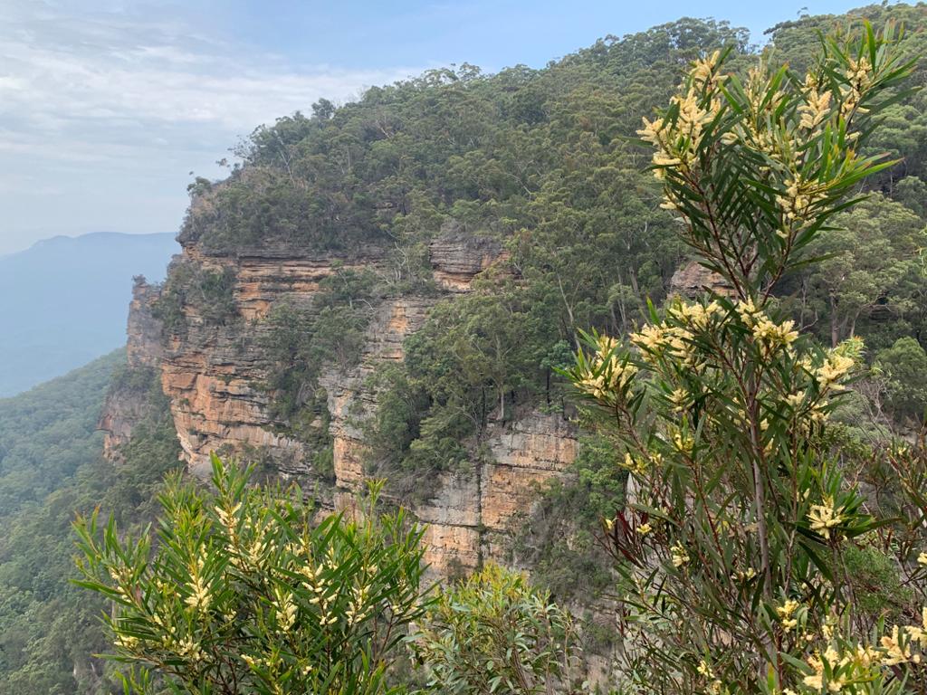 blue mountains australia