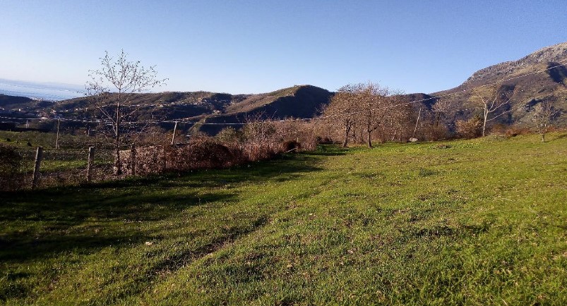 centro olistico pollino