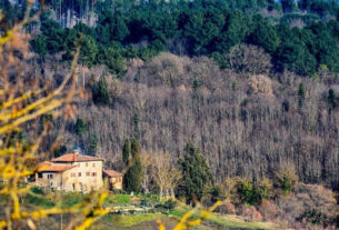 La Fattoria Poggio di Dante, tra nuovi progetti e sogni di vacanze… al contrario!