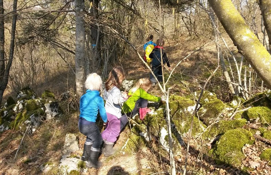 scuola bosco trento