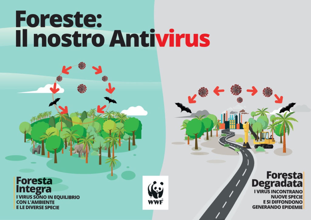 foreste antivirus pandemie