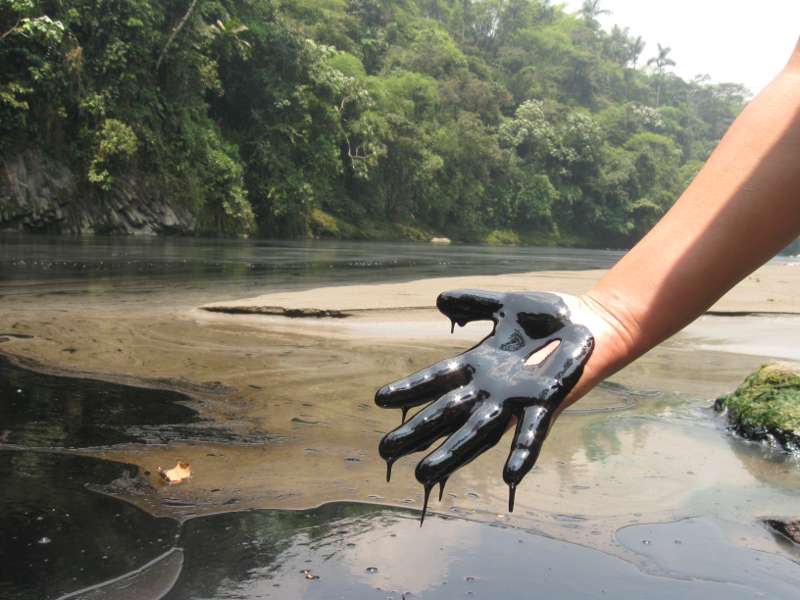 Oil Spill on Hand
