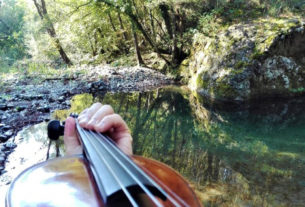 Gli artisti di tutto il mondo si esibiscono per le piante ed il pianeta