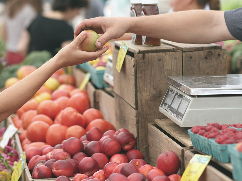 [fonte: https://www.italiachecambia.org/2020/05/agricoltura-contadina-filiera-corta-possono-salvarci-riusciranno-salvare-se-stesse/]