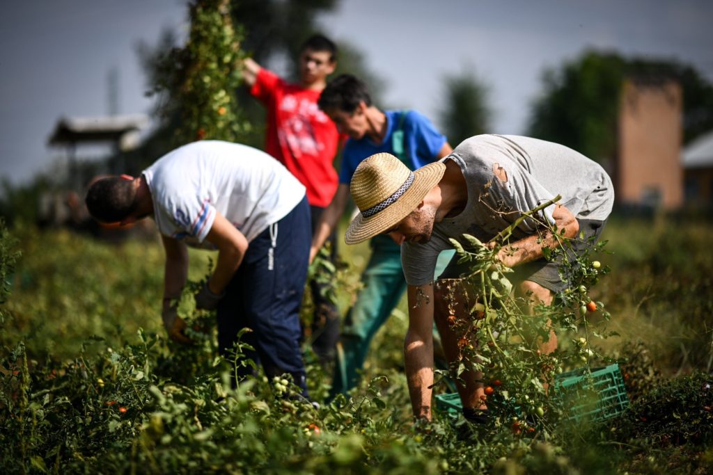 bologna arvaia contadini biologico lavoratori grupppo ph Luca Gallo 2018