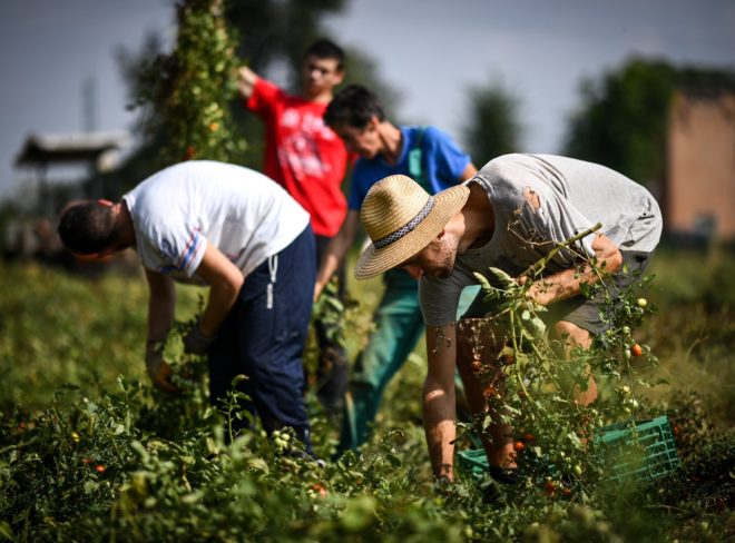 bologna arvaia contadini biologico lavoratori grupppo ph Luca Gallo 2018