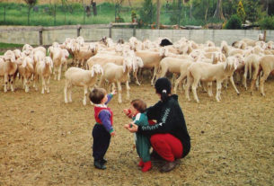 Il Pozzo: la fattoria didattica che avvicina i bambini al mondo agricolo