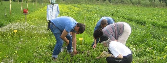 agricoltura contadina
