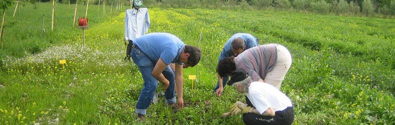 Campagna per l’agricoltura contadina