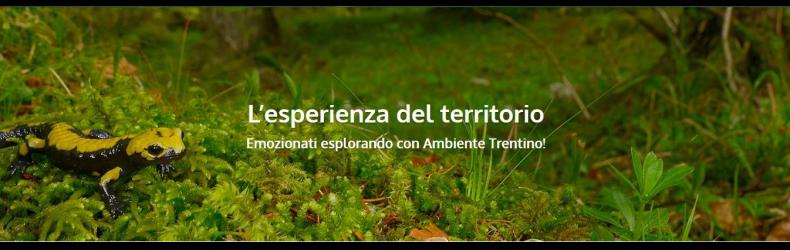 Ambiente Trentino